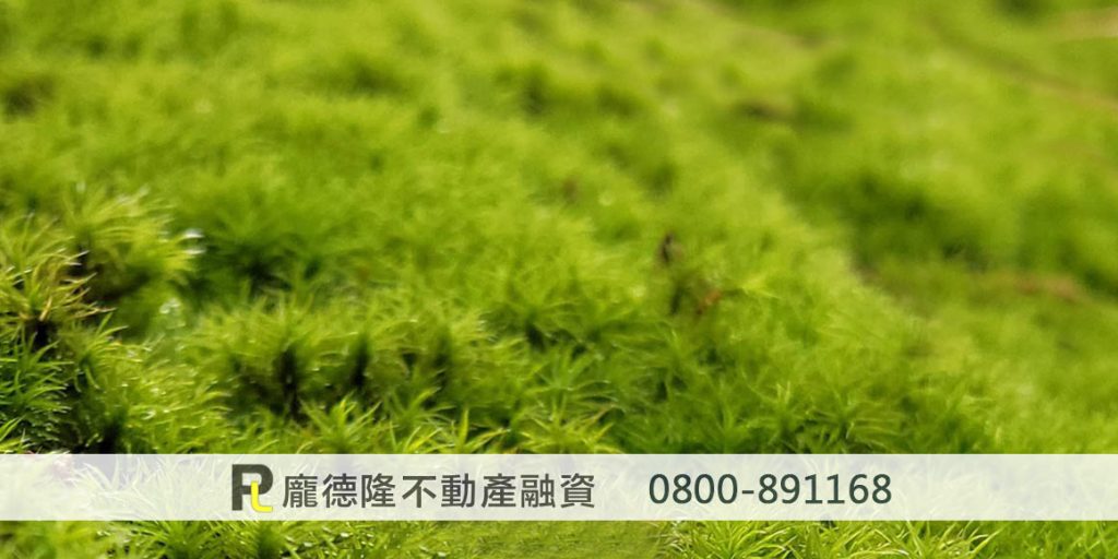 green moss