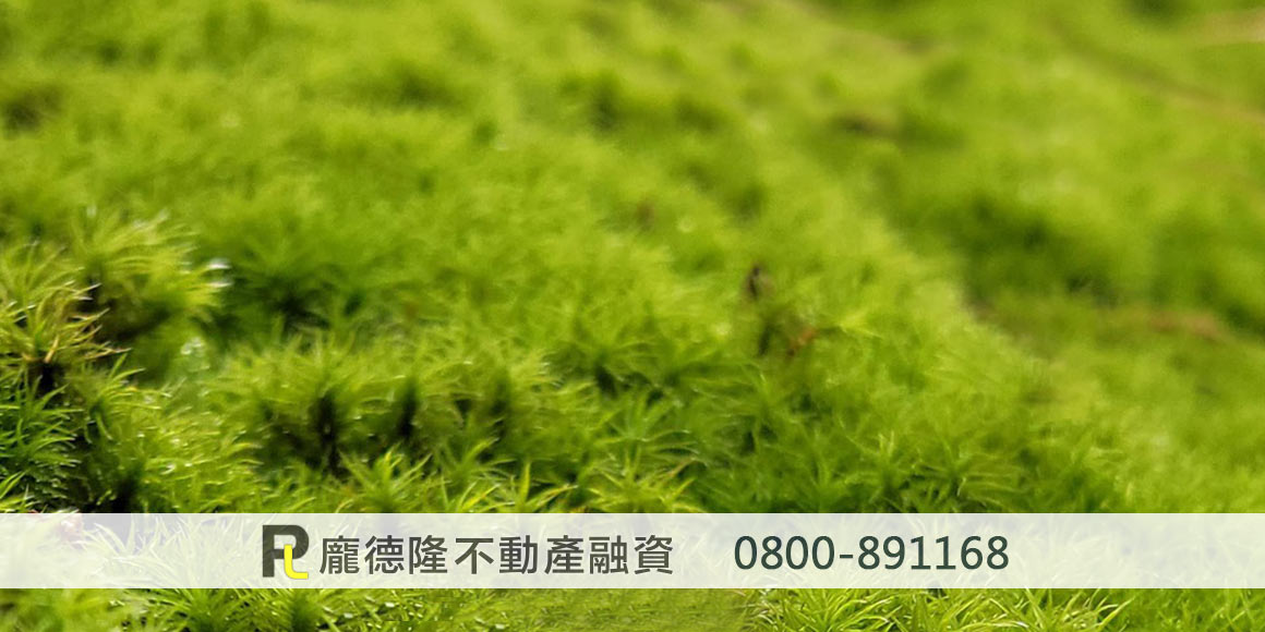 green moss